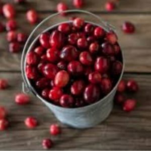 Welcome to the Cranberry Bog